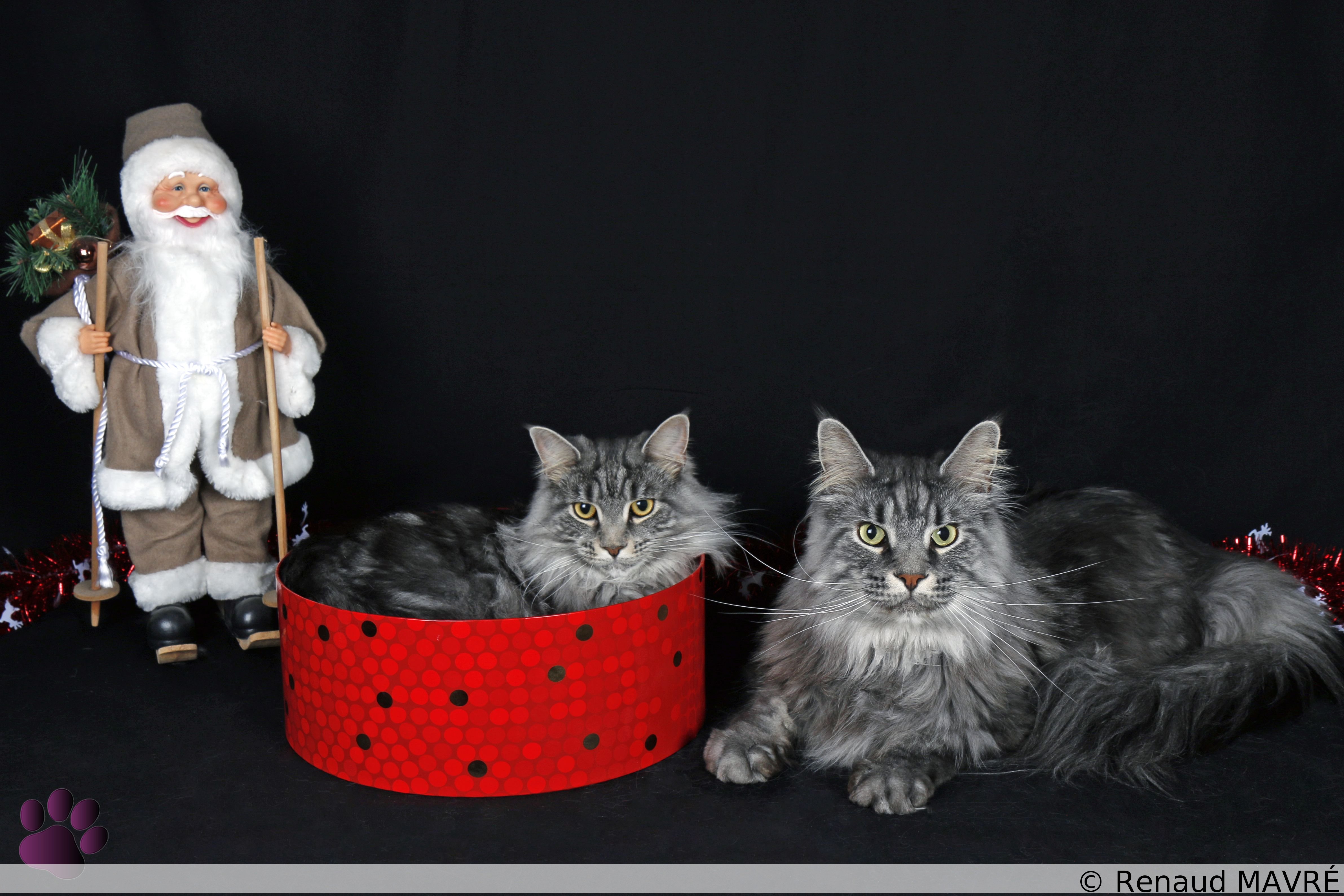 Léonardo & Nexis MG 9928 1