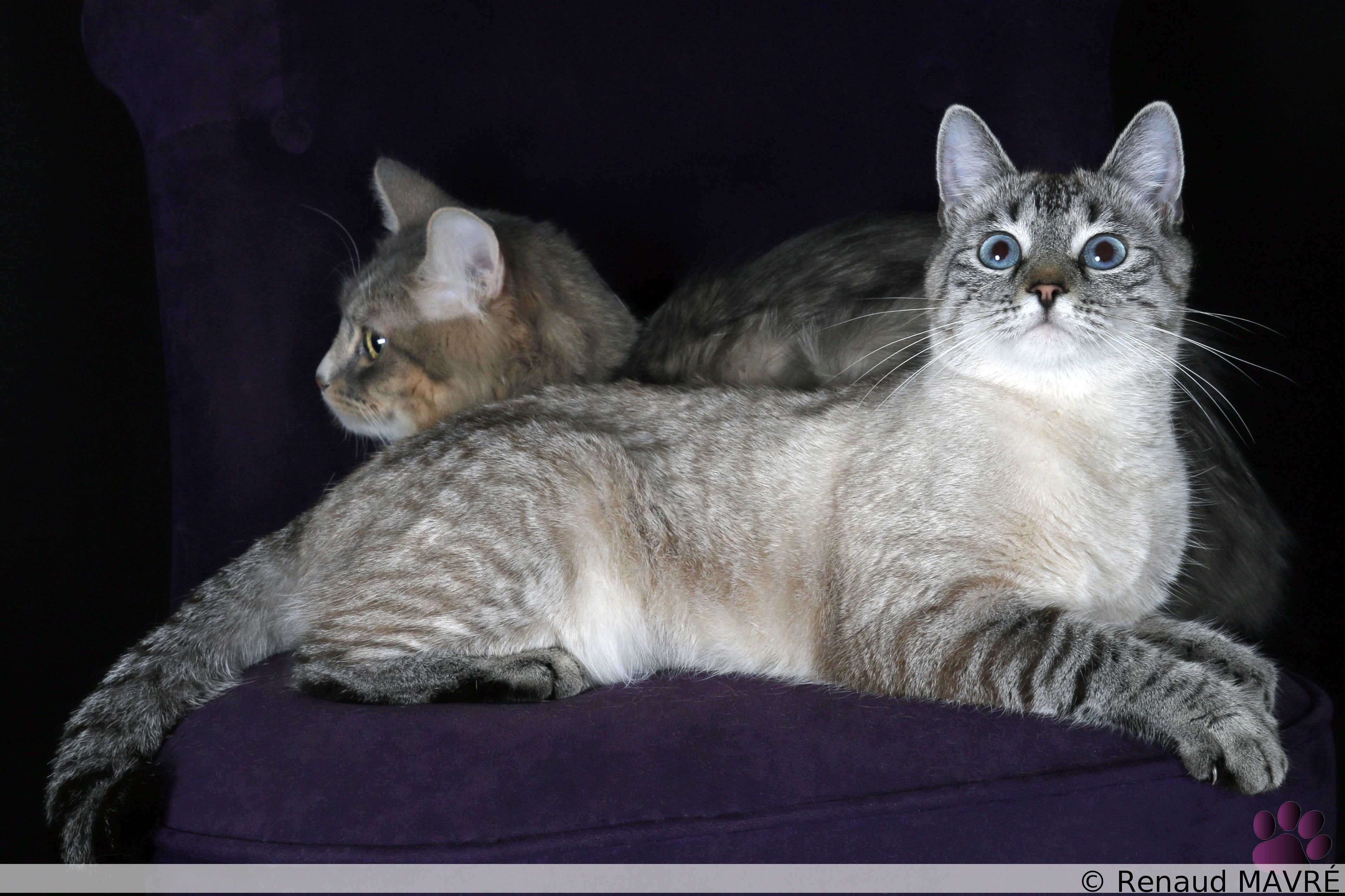 Nimba & Oslo MG 0252 1