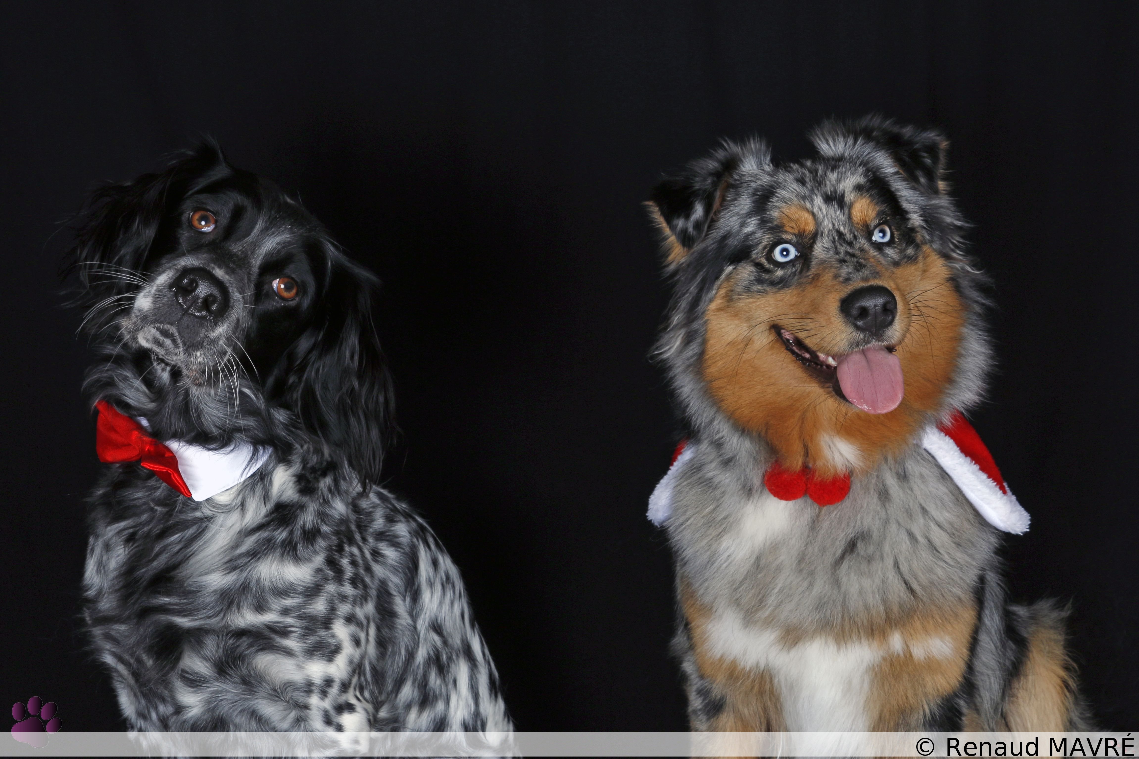 Noisette & Luciole MG 0147 1